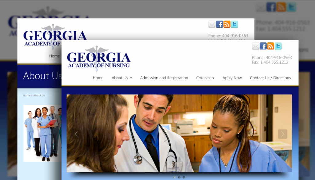 georgia academy of nursing
